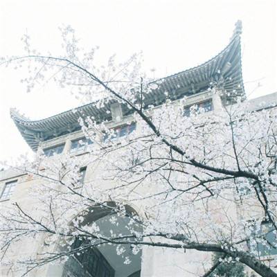 合肥市中心血站新站项目竣工